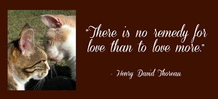 Love_Henry_David_Thoreau