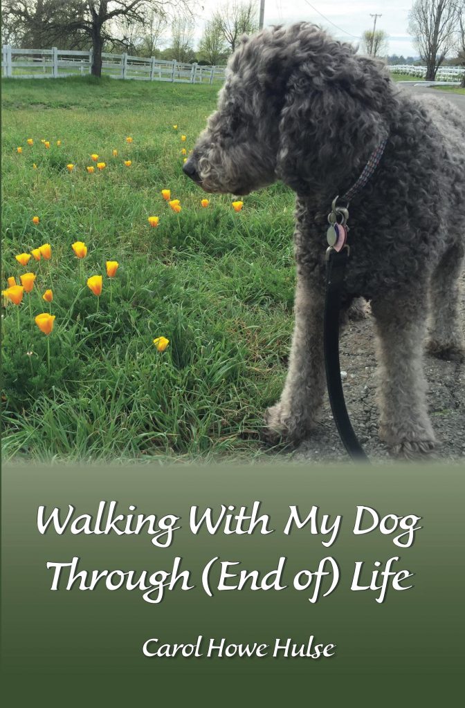 walking_with_my_dog__cover_for_kindle-091316