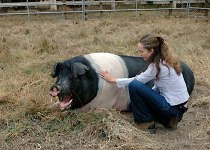 Harley and Kathleen sharing Reiki