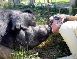 Harley kissing Fray