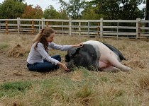 Harley receiving Reiki with Kathleen