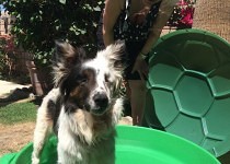 Hope enjoying pool with Gail