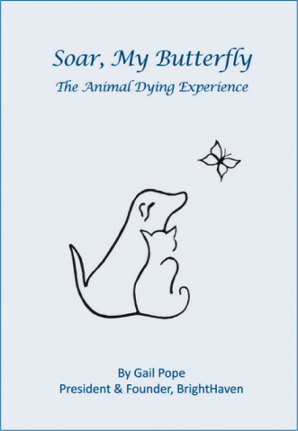 Soar, My Butterfly: The Animal Dying Experience