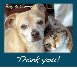 Dog and cat say thanks
