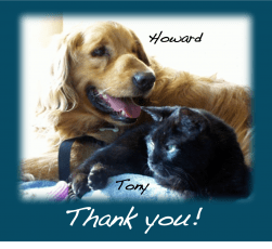 Cat and laughing dog