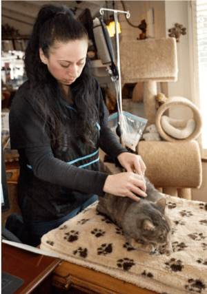 Woman given fluids to cat