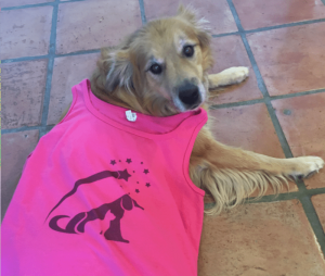 dog pink t-shirt logo