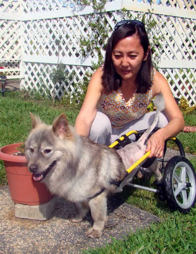 Dog smiling with woman