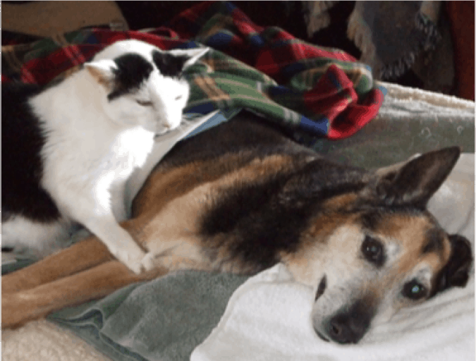 Beauregard comforting Patti