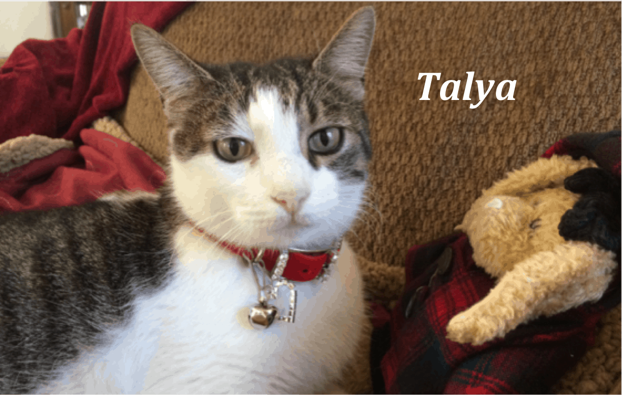 So Grateful for Animals Each & Every Day! - BrightHaven So Grateful for Animals Each & Every Day! - BrightHaven