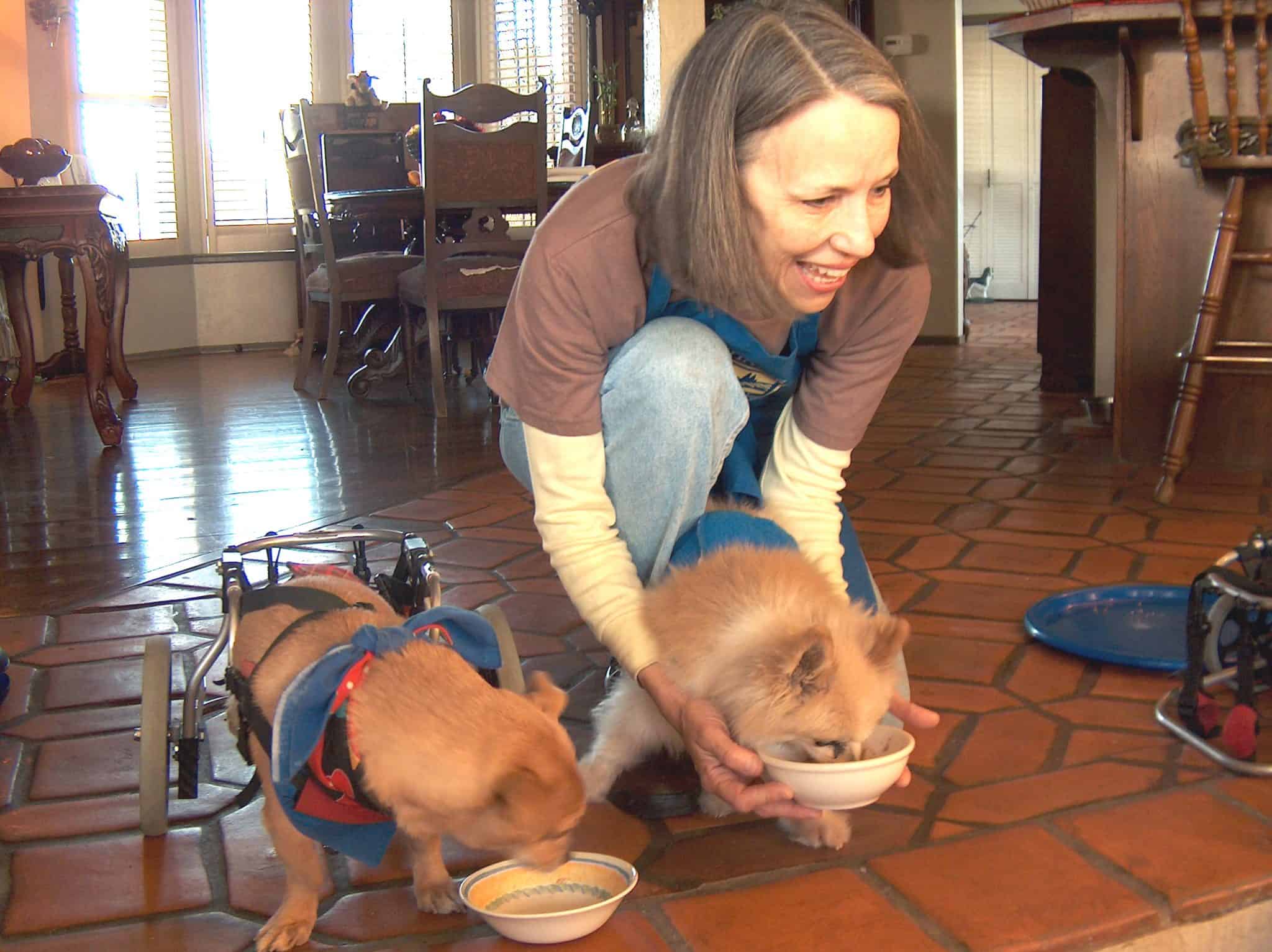 Tips for Feeding Finicky Eaters BrightHaven