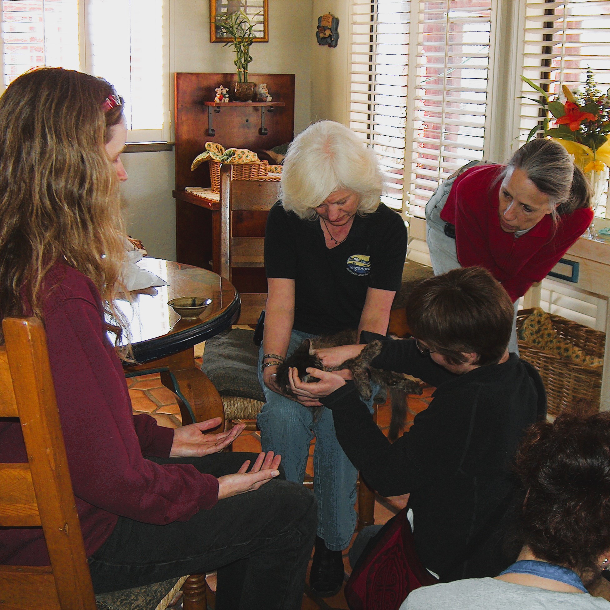 Pet owner providing palliative care for a senior dog