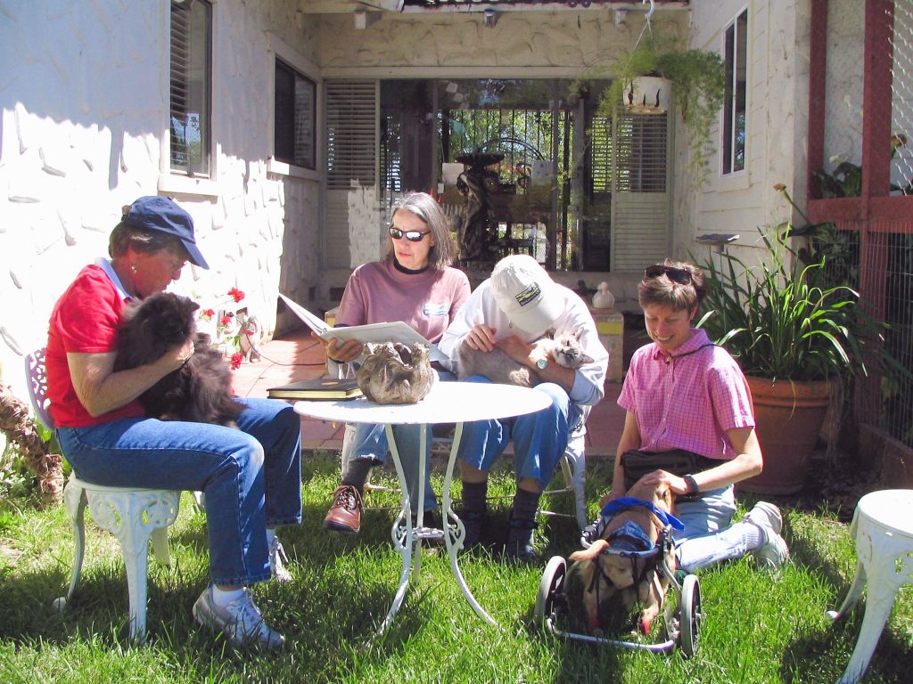 Volunteers for BrightHaven outside with animals