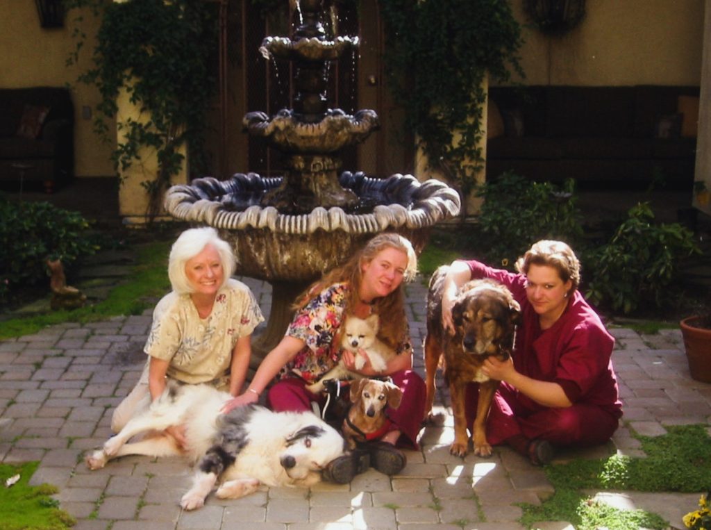 three women with four dog that have different disabilities