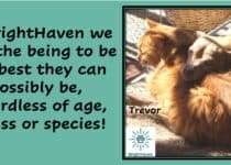 help your animals live well