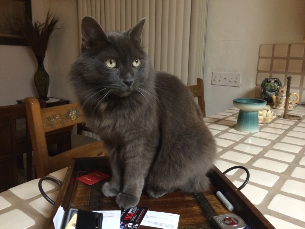 1-15-in-his-new-home-1024x768