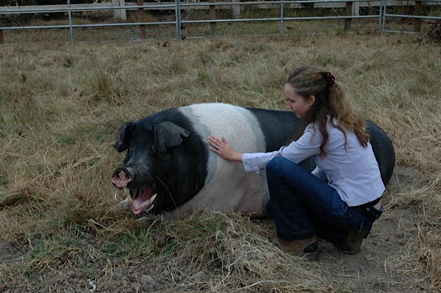 Kathleen and Harley2
