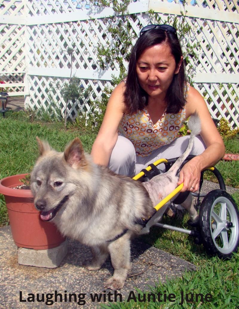 6-09 Bailey laughing with June - a volunteer _2