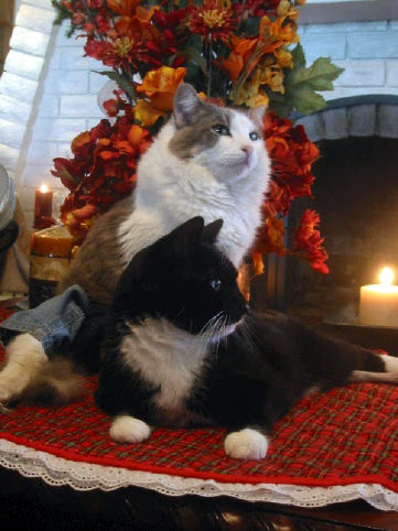 Tim and Bentley newsletter 12-04