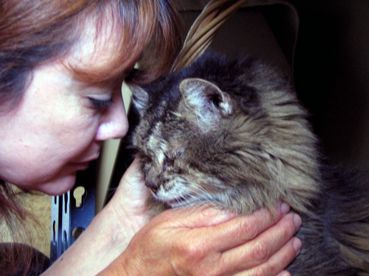 scharleen-and-frazier-reiki