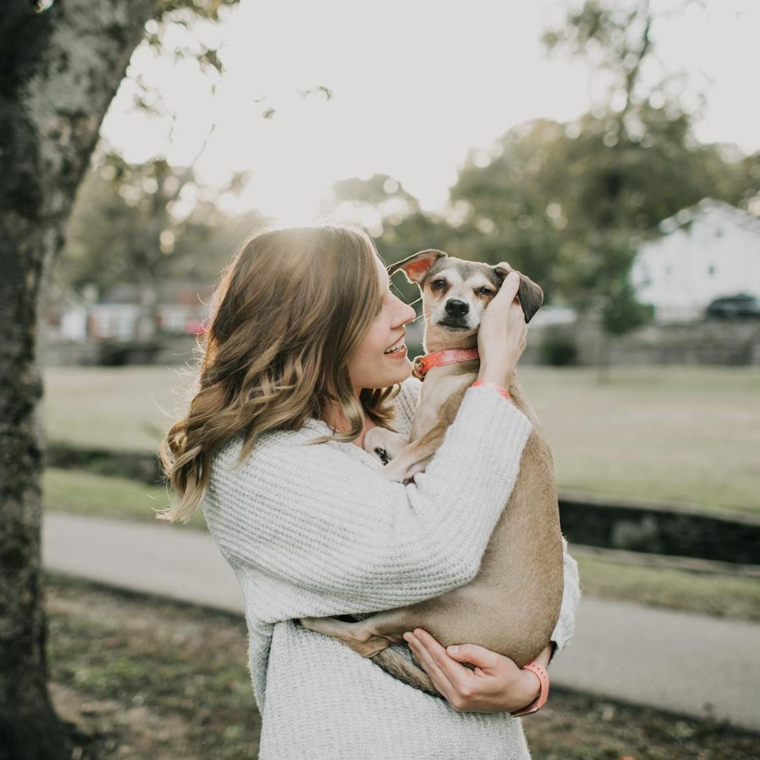A joyful woman hugs her pet dog outdoors in a sunny park setting, showcasing affection and togetherness.