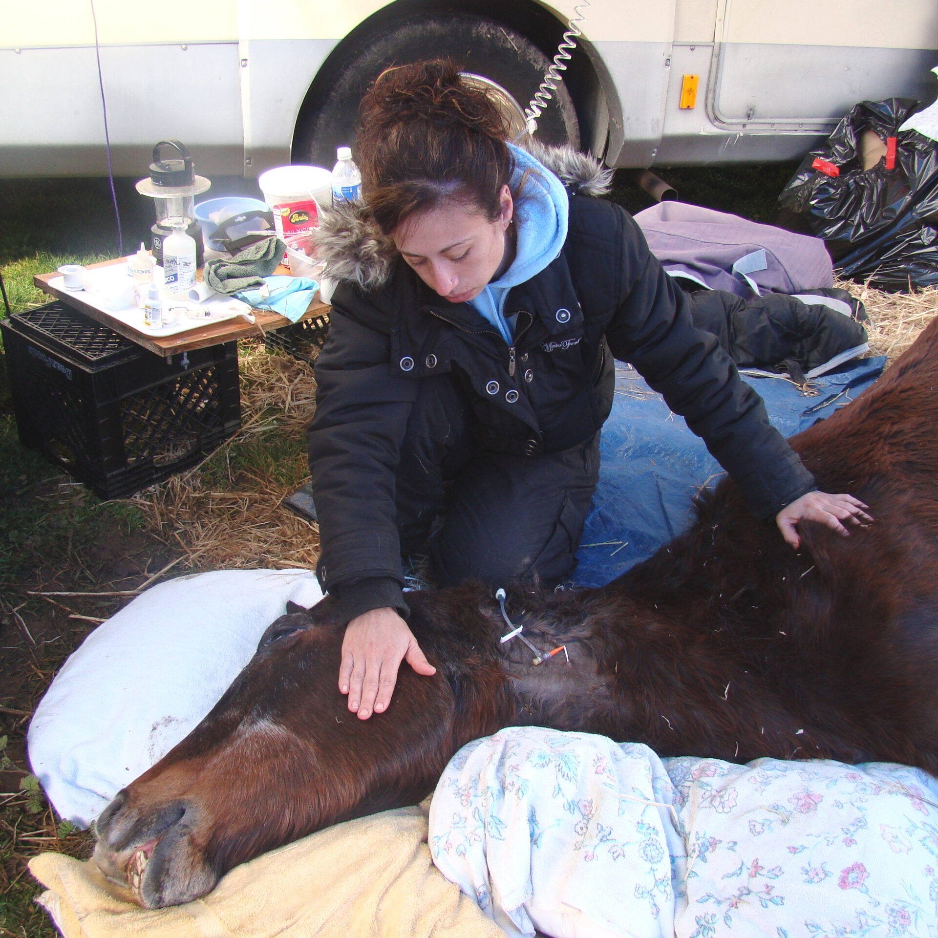 3-28-10 Blanca with Nicki - showing IV - for Jaime