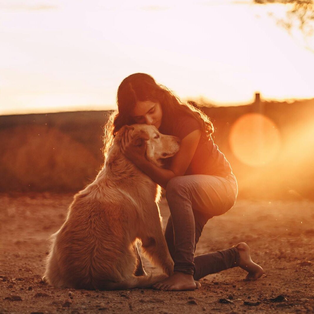 Full body of young long haired female in casual wear cuddling Golden Retriever dog while standing on knee barefoot in open air at dusk