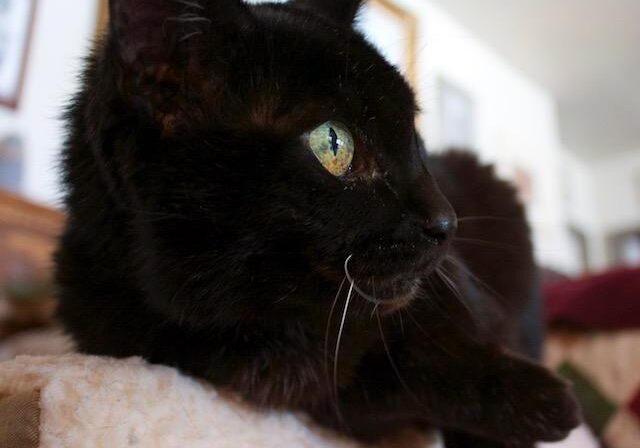 6-14 Sophie by Lauren