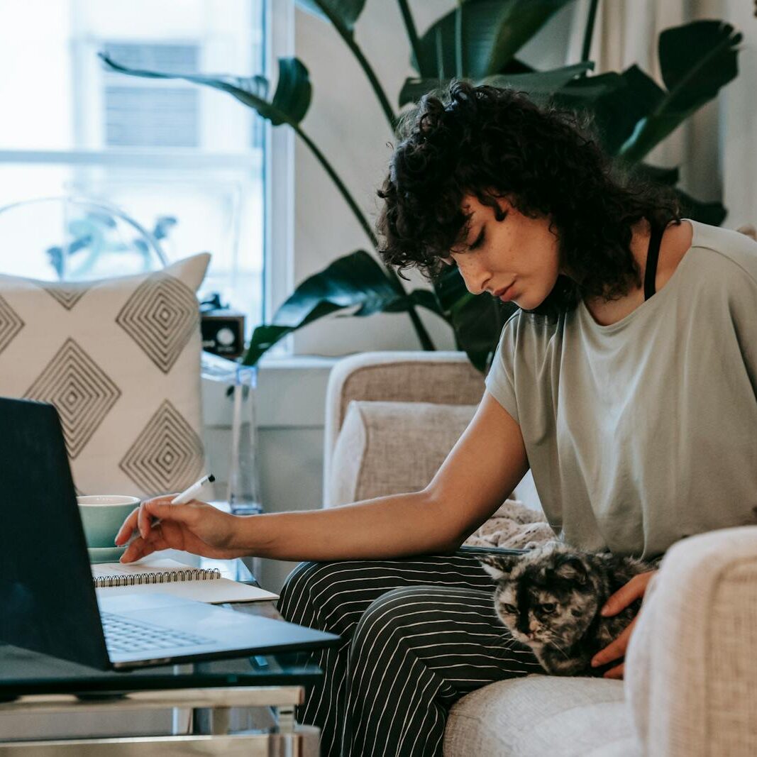 Side view of young focused ethnic female student sitting on comfortable sofa and caressing cat while doing homework assignment using laptop in cozy living room