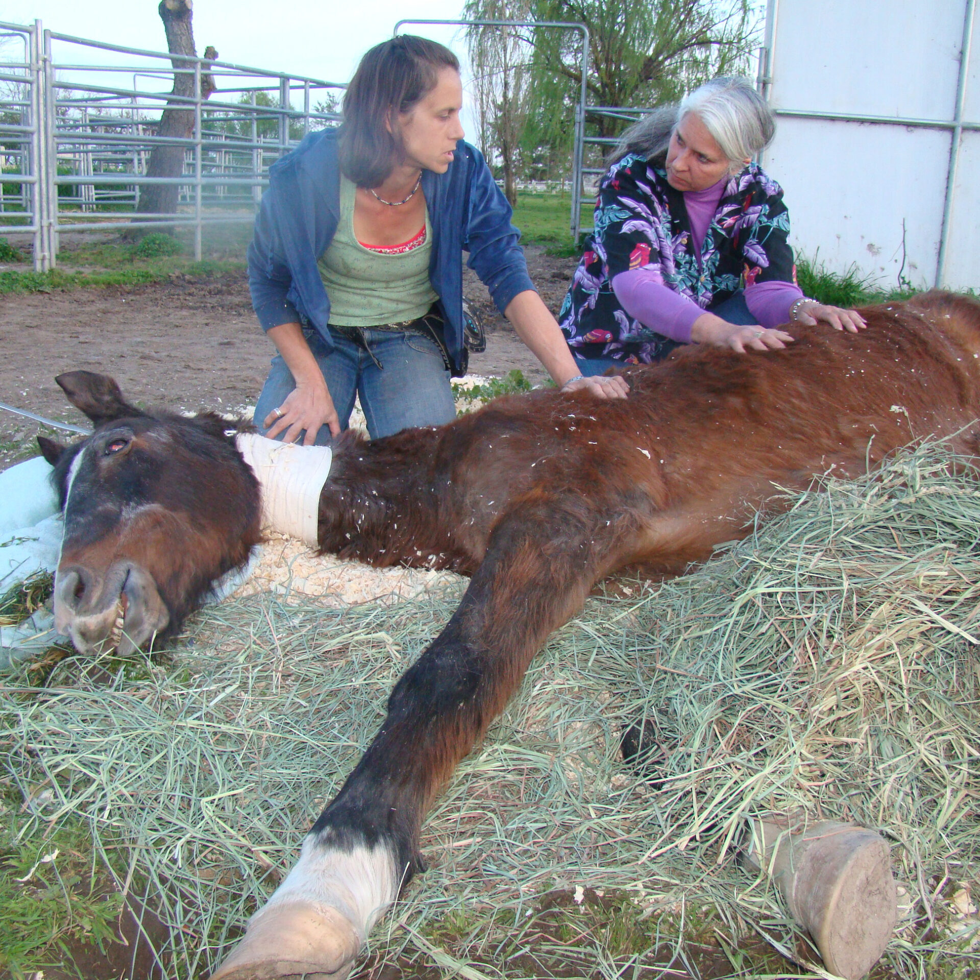 8-08 Nicki for Obit - Jaynellen and Teri #2