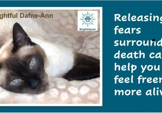 BH QUOTE-Dafne-Ann-death nothing to fear-081825