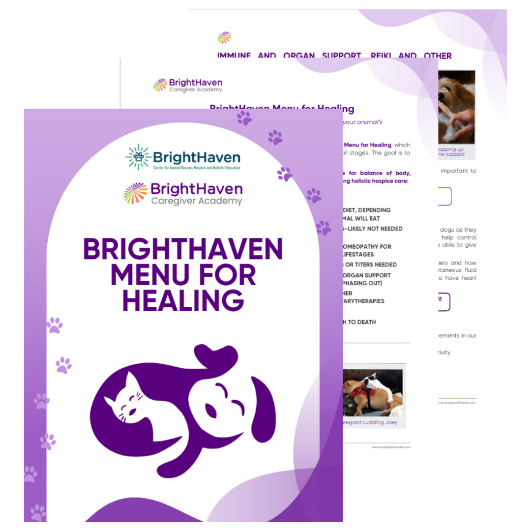 BrightHaven Caregiver Academy_BrightHaven Menu For Healing