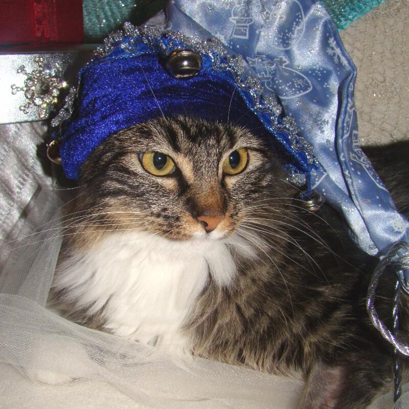 Gem xmas vertical - best