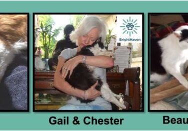 Grief FAQ blog post feature image-040224-v2