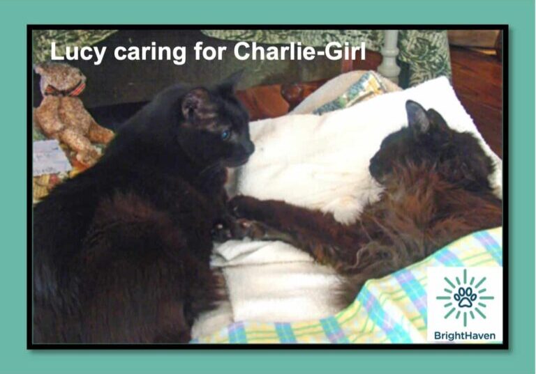Lucy caring for Charlie-Girl-names-logo-111824