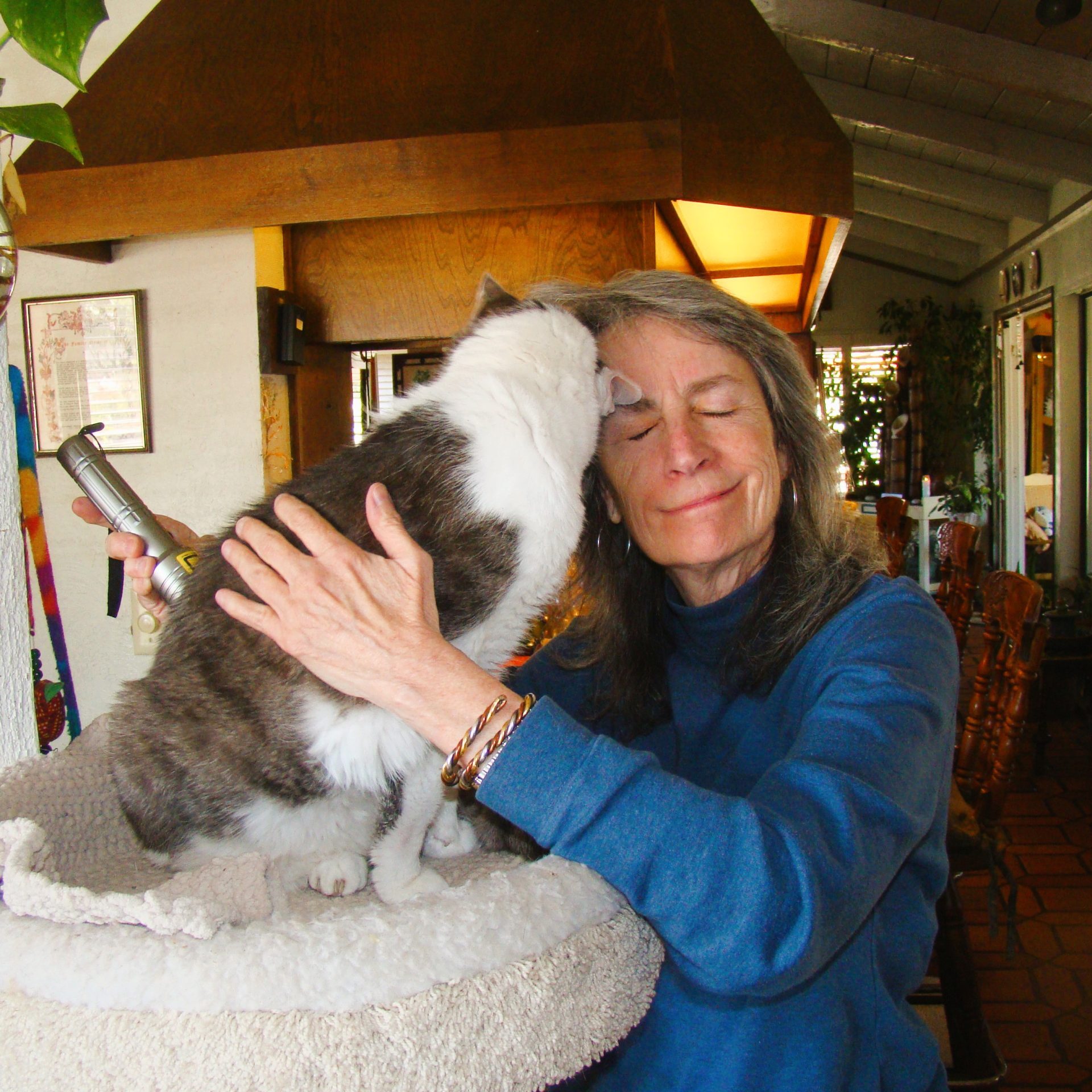 cat licking a woman in the forehead