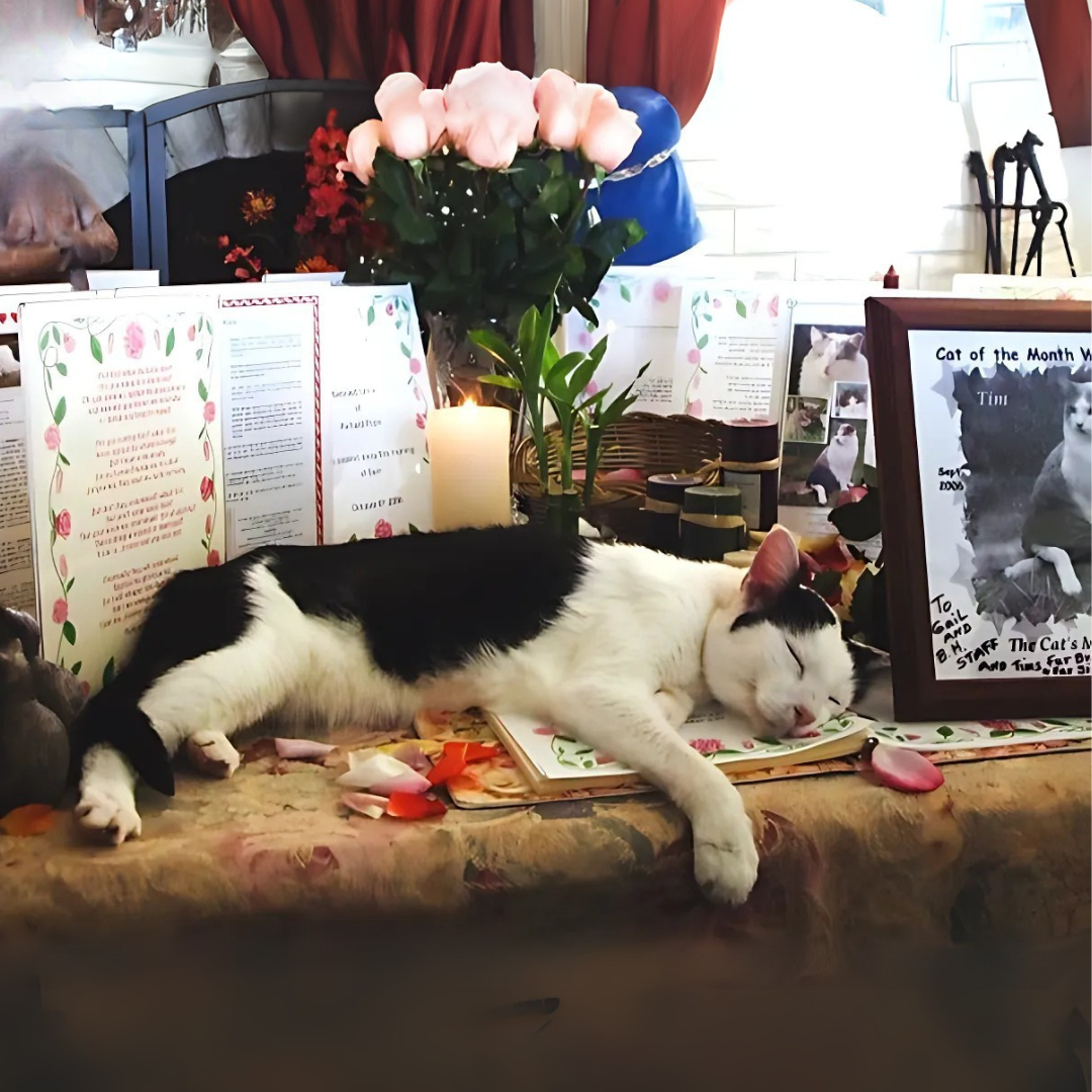 Rose ceremony - Beau #1