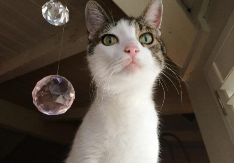 Talya and the crystals-best-12-17-14