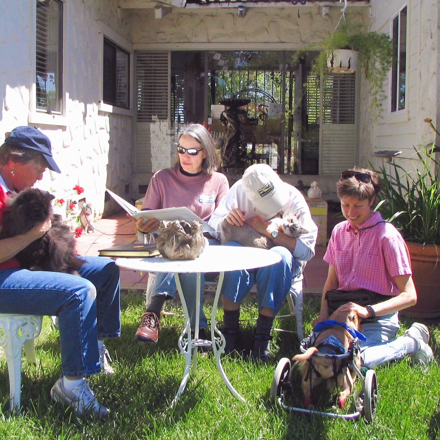 Volunteers for BrightHaven outside with animals