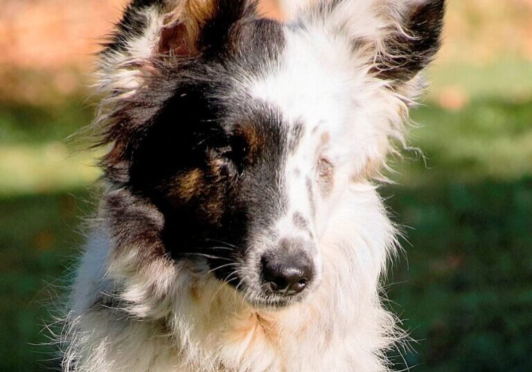 hope-by-faith-michele